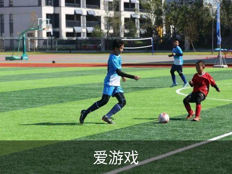 爱游戏简介